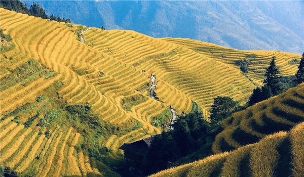 【桂林】奇妙自然 欢乐亲子 桂林千古情 龙脊梯田 地心溶洞探险 兴坪佳境漓江游船  5A 靖江王府 漓江边古村落 亲子手作 DIY 高铁五天四晚